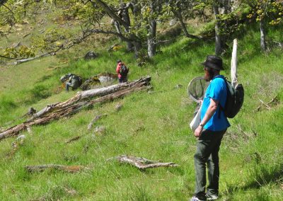 Scott Gilmore, entomologist, and Steve Joya and Olivia Lee, bryologists, on Mount Sutil