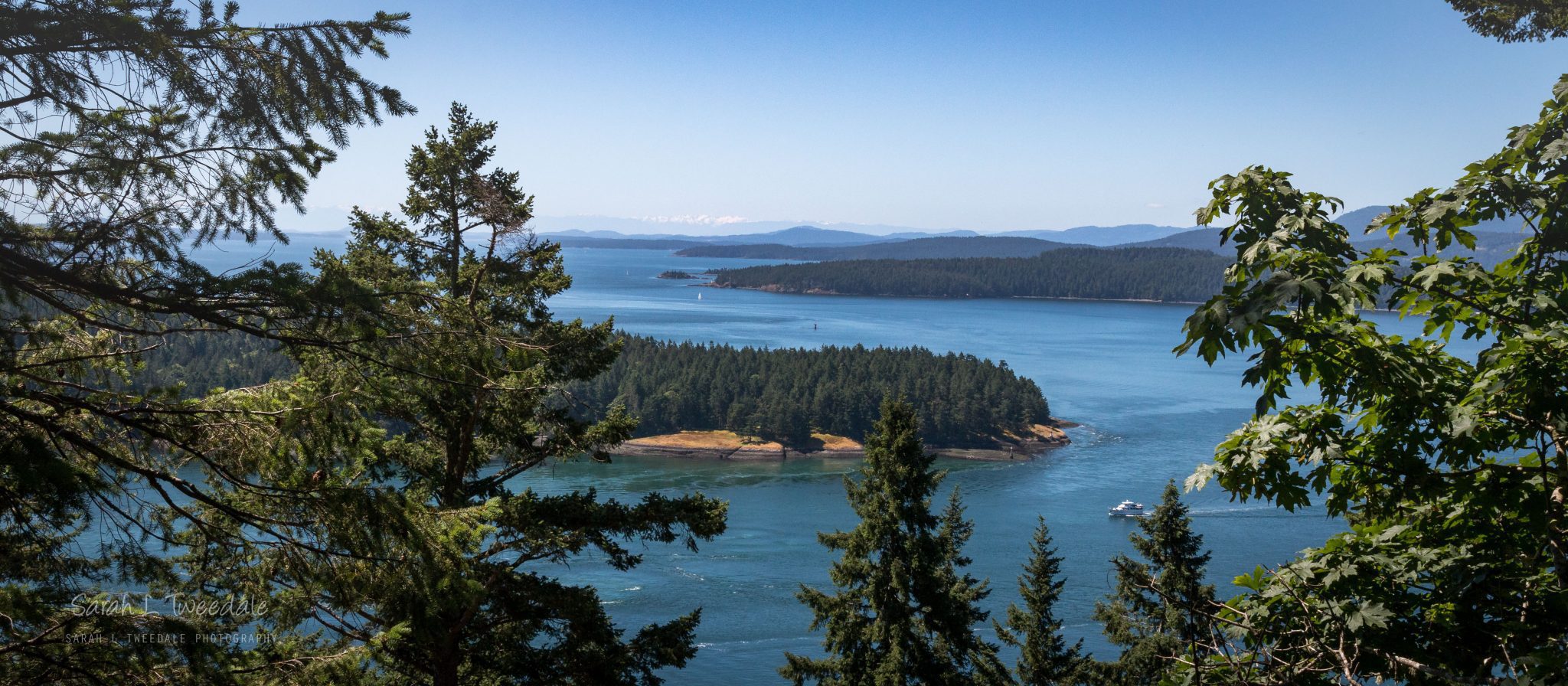 Bluffs Park | Biodiversity Galiano