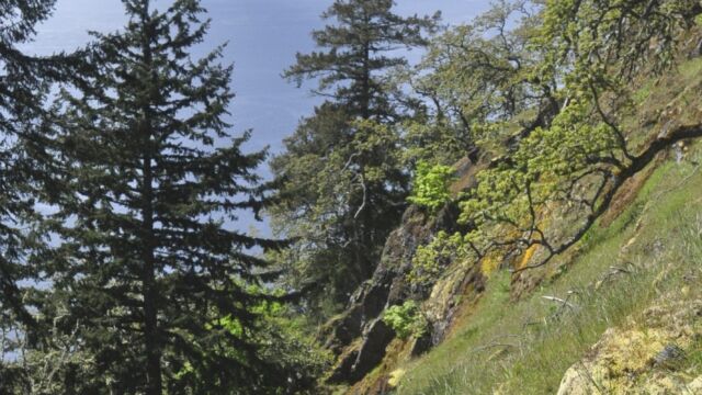 Sunny skies, looking northwest toward the Trincomali Channel