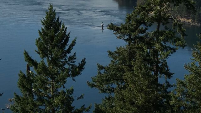 The view from the Bluffs of Collinson Point and Reef. The current of the ebb tide making for patterns on the water. Photo credit Sarah L. Tweedale