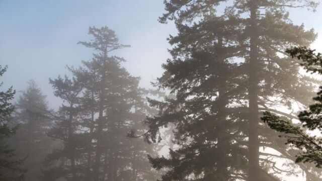 A thin fog rolls around the top of the Bluffs. Photo credit Sarah L. Tweedale